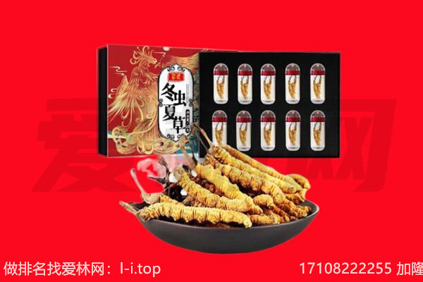 乌鲁木齐米东回收虫草.jpg